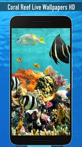 Coral Reef Live Wallpapers HD screenshot 0