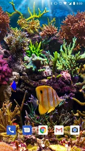 Coral Reef Live Wallpapers HD screenshot 1