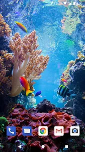 Coral Reef Live Wallpapers HD screenshot 11