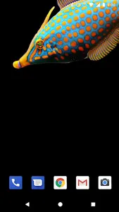 Coral Reef Live Wallpapers HD screenshot 4