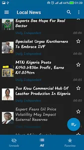 Nigeria Newspapers (Offline Re screenshot 2