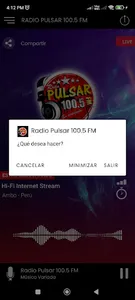Radio Pulsar 100.5 FM - Ambo screenshot 2
