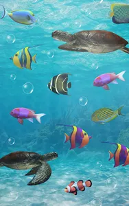 Aquarium live wallpaper screenshot 23