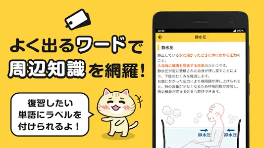介護福祉士 過去問 試験対策アプリ【ケアスタディ】 screenshot 4