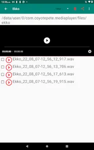 Ekko screenshot 8