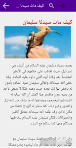 قصص الانبياء و الرسل بدون انتر screenshot 4