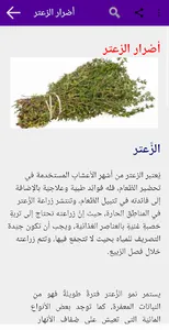 أعشاب لها فوائد طبية screenshot 2