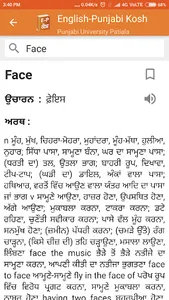 English to Punjabi Dictionary- screenshot 2