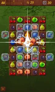 Fruits & Berries screenshot 7