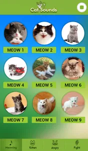 Cat Sounds screenshot 1