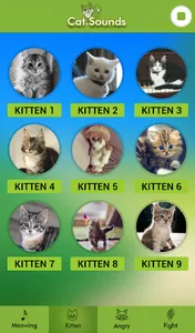 Cat Sounds screenshot 2