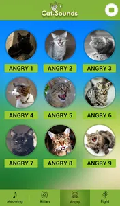 Cat Sounds screenshot 3