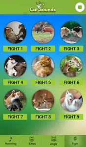 Cat Sounds screenshot 4