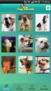 Dog Sounds screenshot 1
