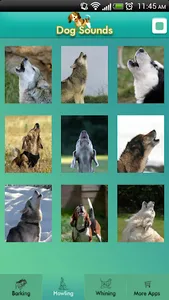 Dog Sounds screenshot 2