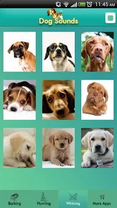 Dog Sounds screenshot 3