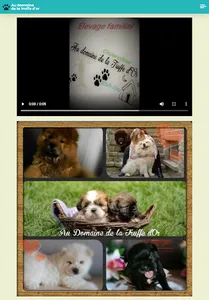 Au domaine de la Truffe d'Or screenshot 4