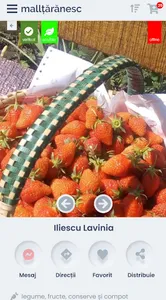 MallȚărănesc screenshot 3