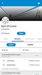 Spirit Of Cricket screenshot 1