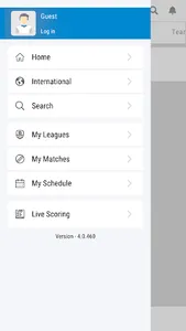 Gimmies Krieket screenshot 1