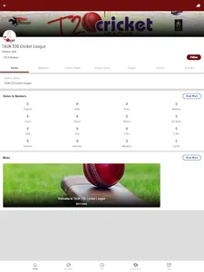 TAUKT20 Cricket League screenshot 4