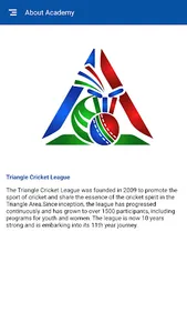 Triangle Cricket League screenshot 1