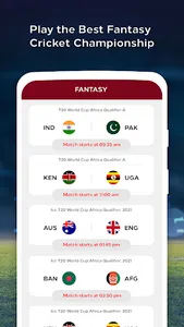 Dream Team - Cricket 11 Live screenshot 9