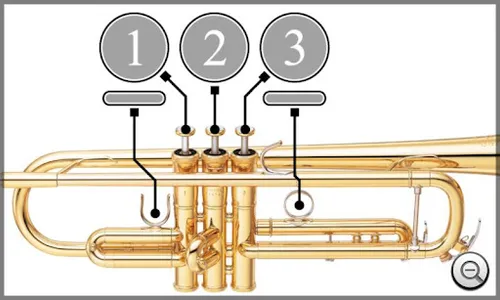 Trumpet Fingering Chart screenshot 4