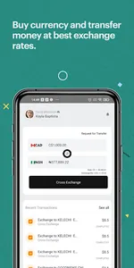 Cross screenshot 4