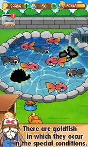 Goldfish Collection screenshot 12