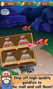 Goldfish Collection screenshot 4