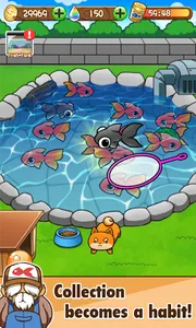 Goldfish Collection screenshot 9