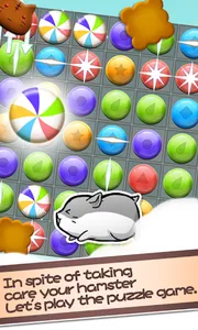 Hamster Life screenshot 7