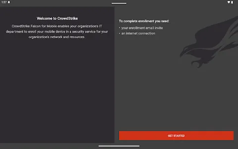 CrowdStrike Falcon screenshot 2