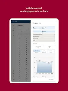 CRV Dier screenshot 12