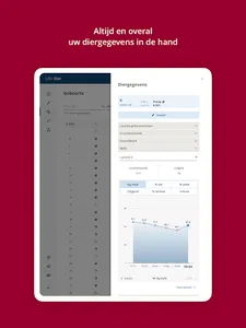 CRV Dier screenshot 7