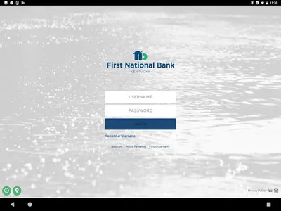 First National Bank Kentucky screenshot 7