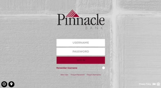 Pinnacle Bank screenshot 4