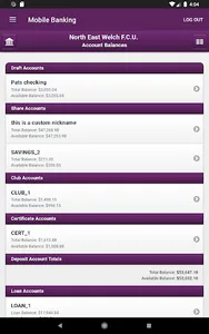 North East Welch FCU screenshot 8