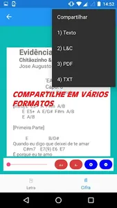 Letras e Cifras screenshot 4