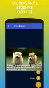 İlginç Bilgiler - ÜCRETSİZ screenshot 3
