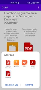 Descarga CURP screenshot 2