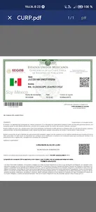 Descarga CURP screenshot 3