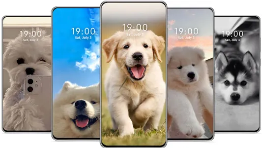 Cute Dog Wallpaper HD screenshot 10