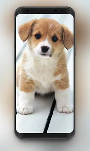 🔥 Cute Dogs Wallpaper | Cute  screenshot 6