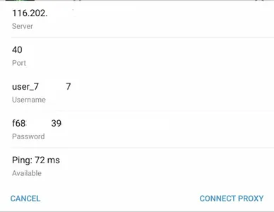 Poor Man's Proxy screenshot 1
