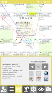Ziweidoushu Chart Builder (Rus screenshot 0