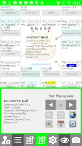 Ziweidoushu Chart Builder (Rus screenshot 1