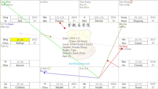 Ziweidoushu Chart Builder (Rus screenshot 3