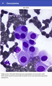 CytoAtlas screenshot 2